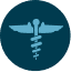 health icon