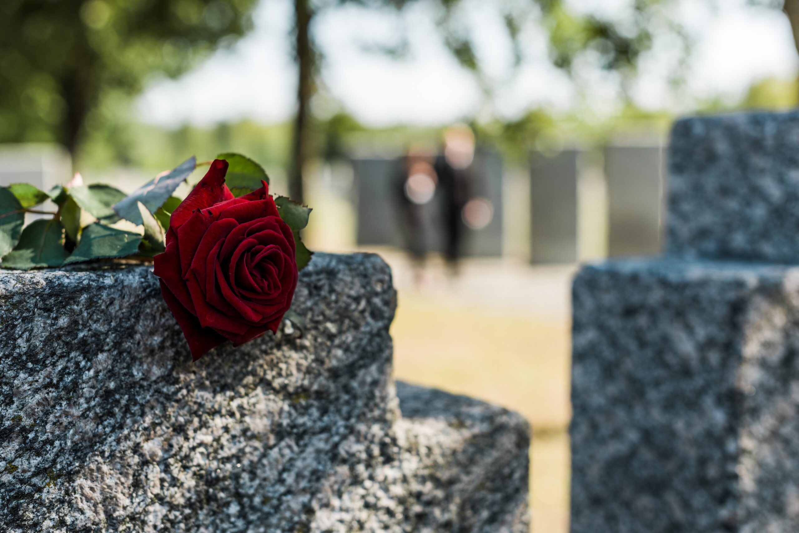 red rose on a headstone representing a victim of wrongful death